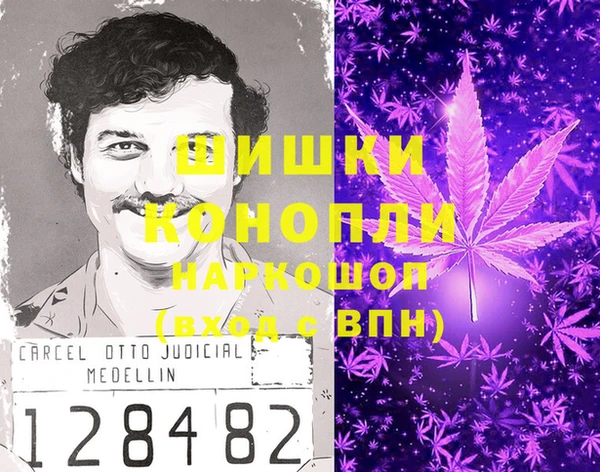 индика Дмитровск