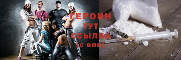 индика Дмитровск