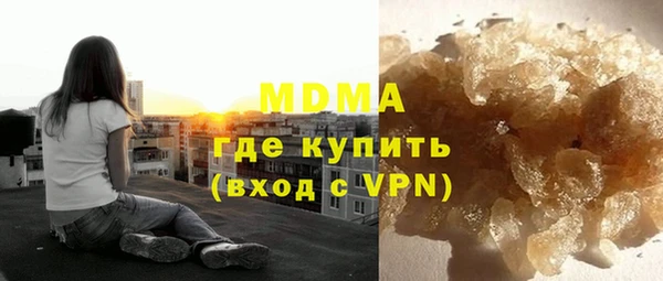 ГАЛЛЮЦИНОГЕННЫЕ ГРИБЫ Дмитриев
