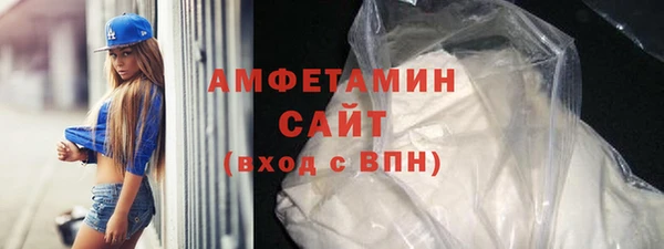 ГАЛЛЮЦИНОГЕННЫЕ ГРИБЫ Дмитриев