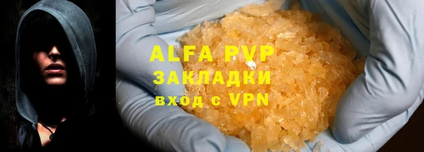 ГАЛЛЮЦИНОГЕННЫЕ ГРИБЫ Дмитриев