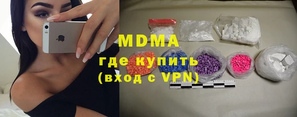 ГАЛЛЮЦИНОГЕННЫЕ ГРИБЫ Дмитриев