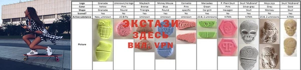 индика Дмитровск
