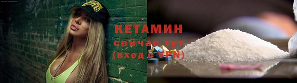 индика Дмитровск