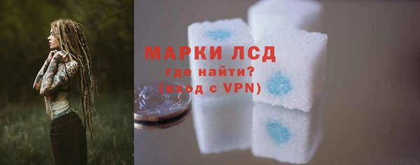 ГАЛЛЮЦИНОГЕННЫЕ ГРИБЫ Дмитриев
