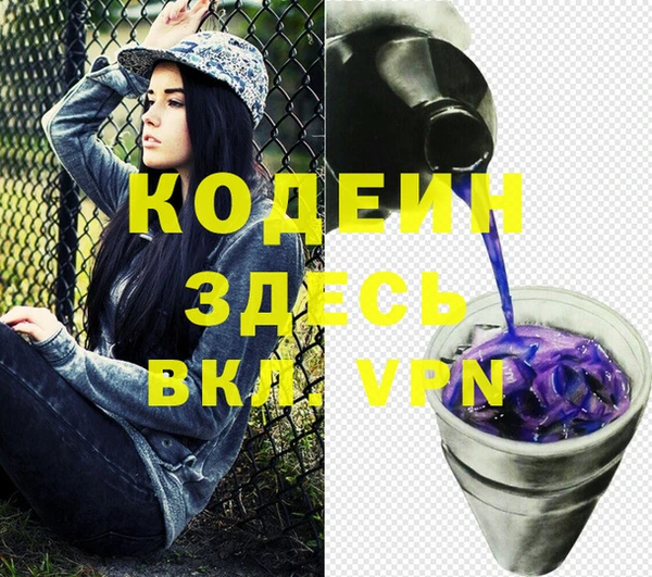 ГАЛЛЮЦИНОГЕННЫЕ ГРИБЫ Дмитриев