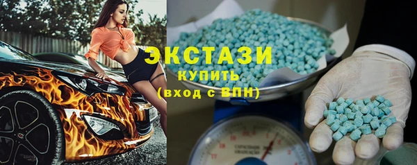 ГАЛЛЮЦИНОГЕННЫЕ ГРИБЫ Дмитриев