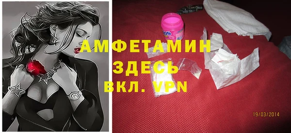 индика Дмитровск