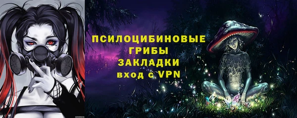 ГАЛЛЮЦИНОГЕННЫЕ ГРИБЫ Дмитриев