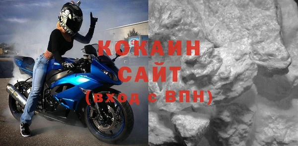 ГАЛЛЮЦИНОГЕННЫЕ ГРИБЫ Дмитриев
