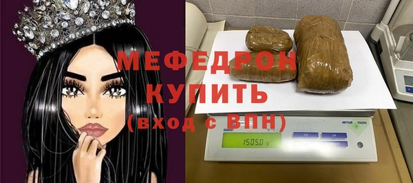 индика Дмитровск
