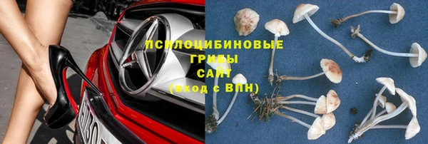 индика Дмитровск