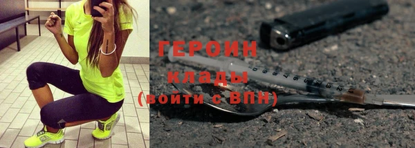 ГАЛЛЮЦИНОГЕННЫЕ ГРИБЫ Дмитриев