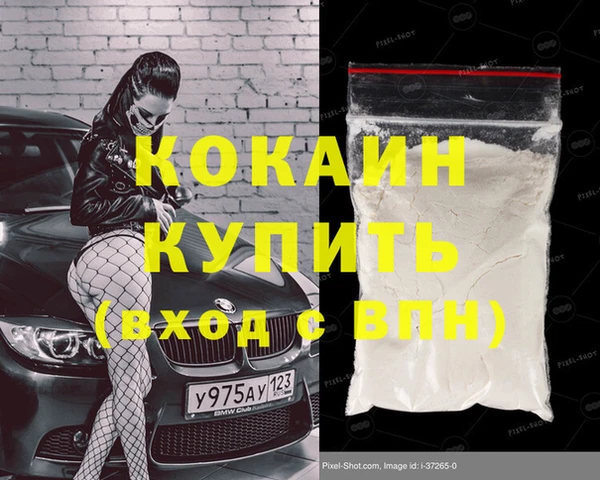 ГАЛЛЮЦИНОГЕННЫЕ ГРИБЫ Дмитриев