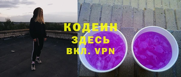 индика Дмитровск