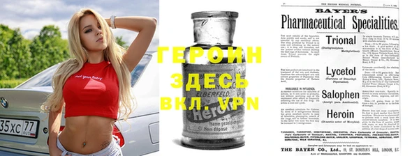 ГАЛЛЮЦИНОГЕННЫЕ ГРИБЫ Дмитриев