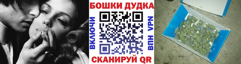 Шишки марихуана конопля  Кедровый 